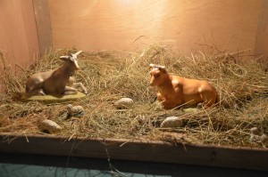 The stable awaits the holy family